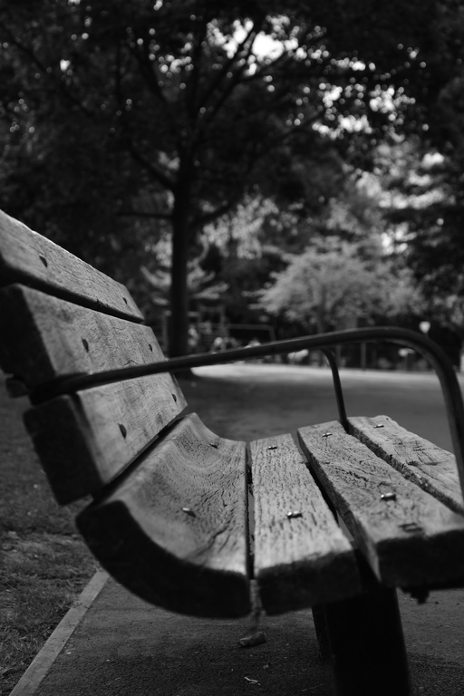 London/Forest Hill/DSC_0445.JPG